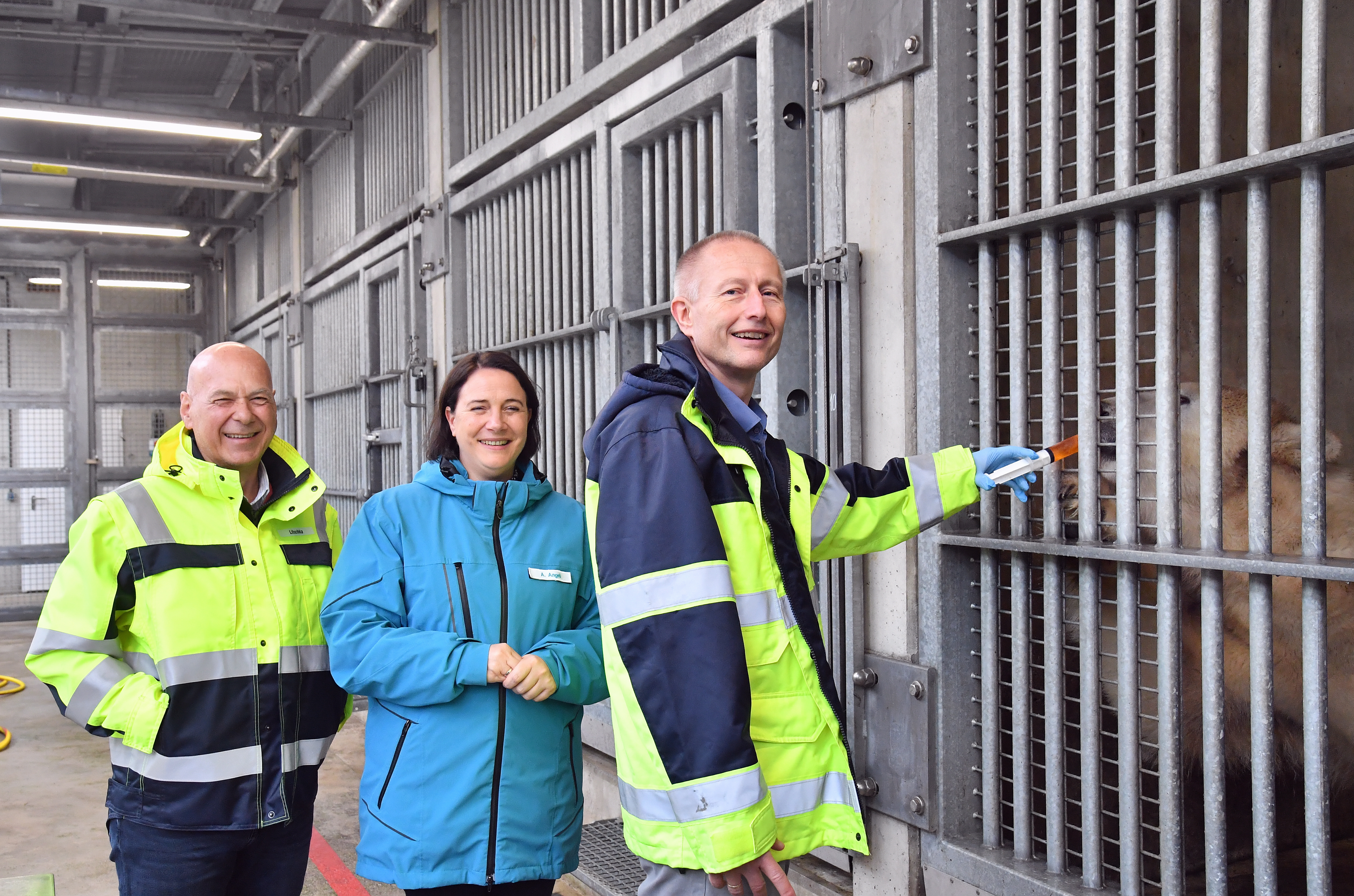 Wiegetag für die Eisbärenzwillinge im Zoo Rostock – Gemeinsam für den Artenschutz