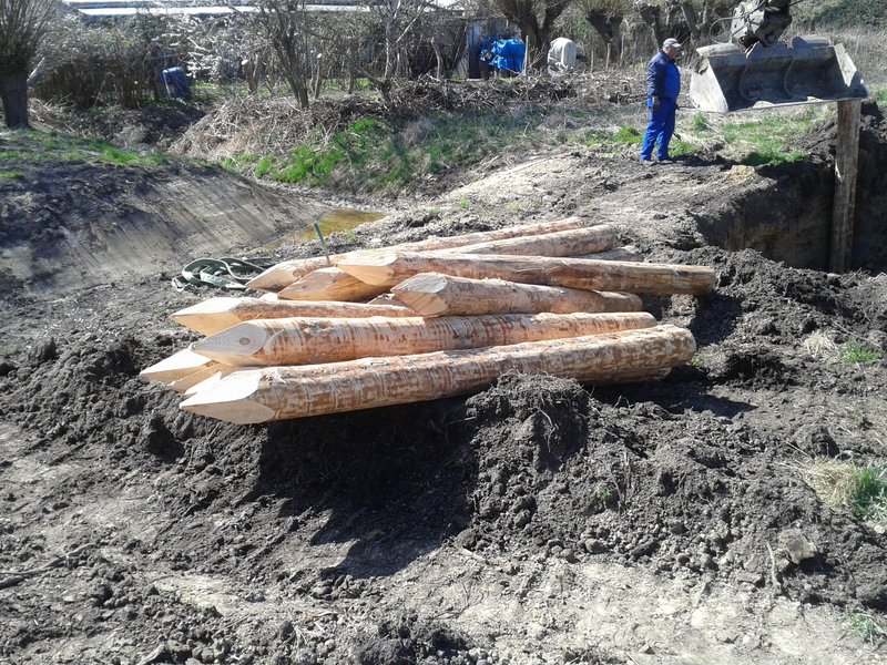 Graben im Projekt Diedrichshäger Moor nach Fertigstellung des Ausgleichsmaßnahme seitens ROSTOCK PORT.