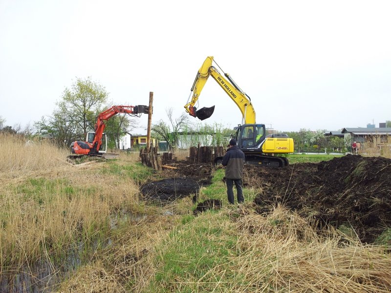 Graben im Projekt Diedrichshäger Moor nach Fertigstellung des Ausgleichsmaßnahme seitens ROSTOCK PORT.