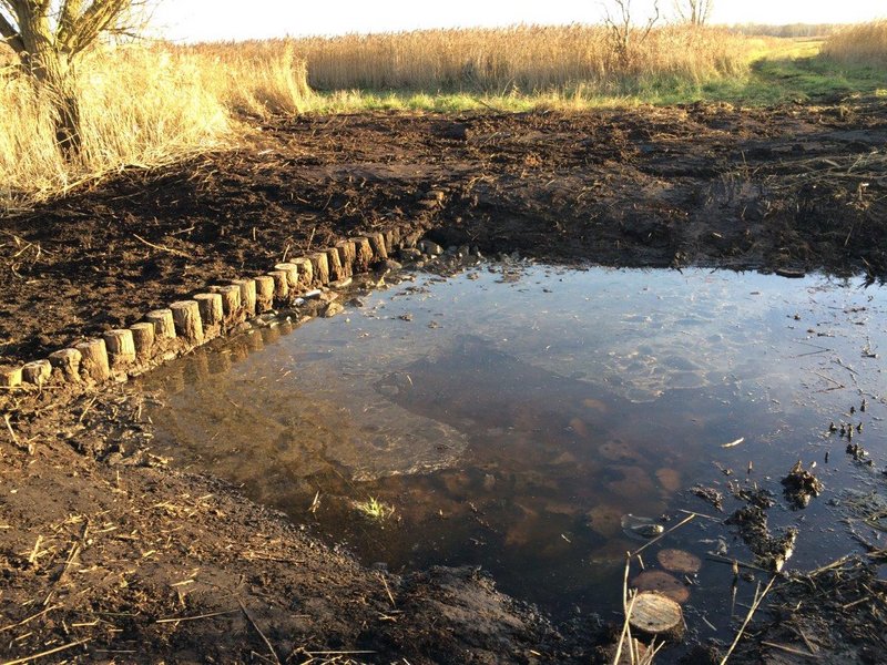 Graben im Projekt Diedrichshäger Moor nach Fertigstellung des Ausgleichsmaßnahme seitens ROSTOCK PORT.