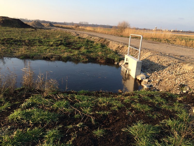 Fläche A im Projekt Diedrichshäger Moor im Januar 2018 während der Ausgleichsmaßnahme seitens ROSTOCK PORT.