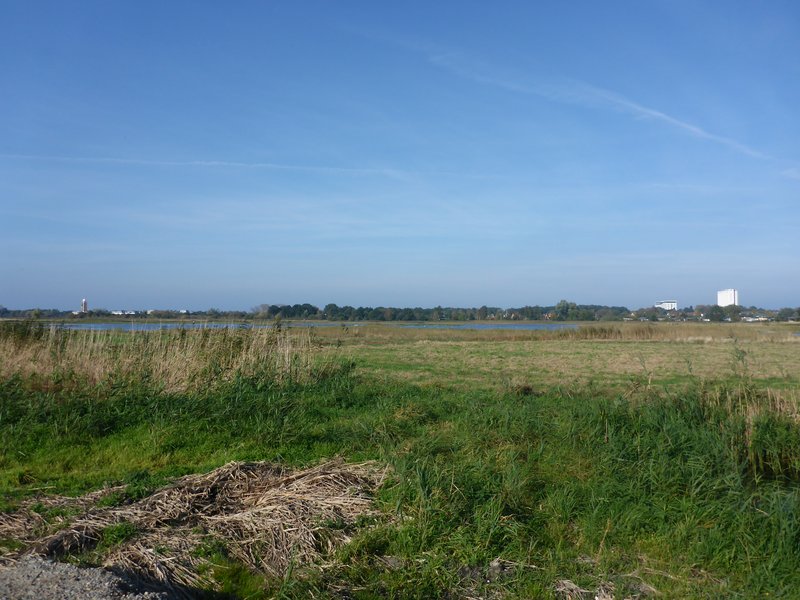 Fläche B im Projekt Diedrichshäger Moor nach Fertigstellung des Ausgleichsmaßnahme seitens ROSTOCK PORT.