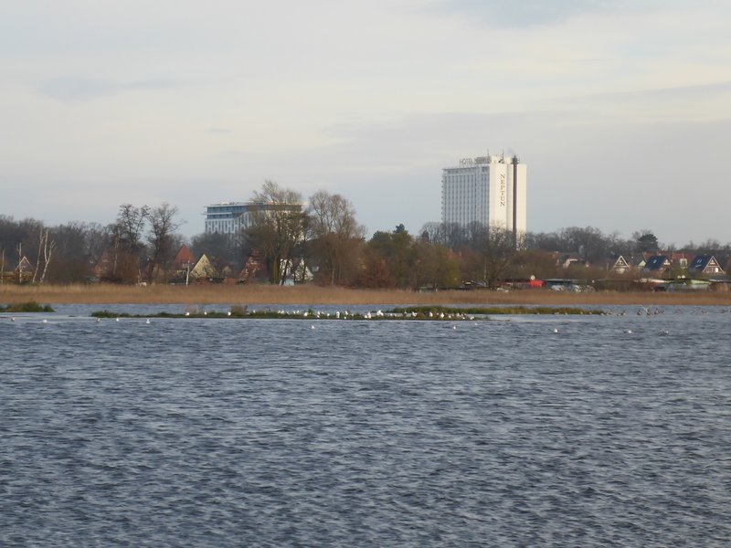 Fläche B im Projekt Diedrichshäger Moor nach Fertigstellung des Ausgleichsmaßnahme seitens ROSTOCK PORT.