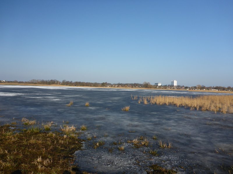 Fläche B im Projekt Diedrichshäger Moor nach Fertigstellung des Ausgleichsmaßnahme seitens ROSTOCK PORT.