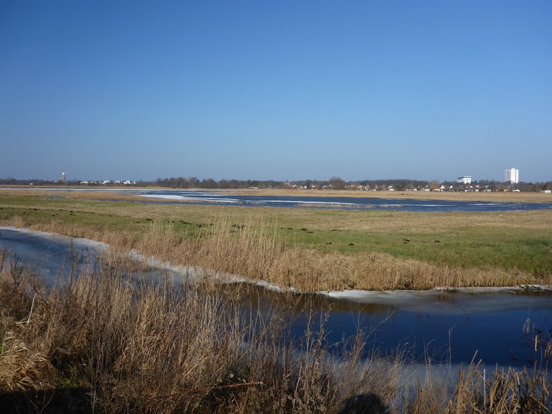 Fläche B im Projekt Diedrichshäger Moor nach Fertigstellung des Ausgleichsmaßnahme seitens ROSTOCK PORT.