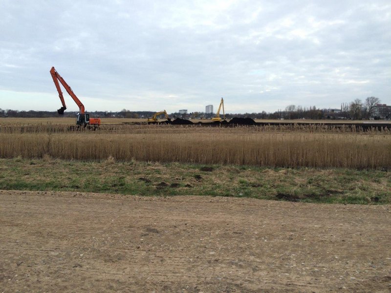 Mehrere Bagger arbeiten auf einem trockenen Schilffeld im Projekt Diedrichshäger Moor