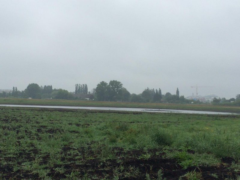 Eine weite, grüne Wiesenfläche im Projekt Diedrichshäger Moor mit einem schmalen Gewässer im Hintergrund.