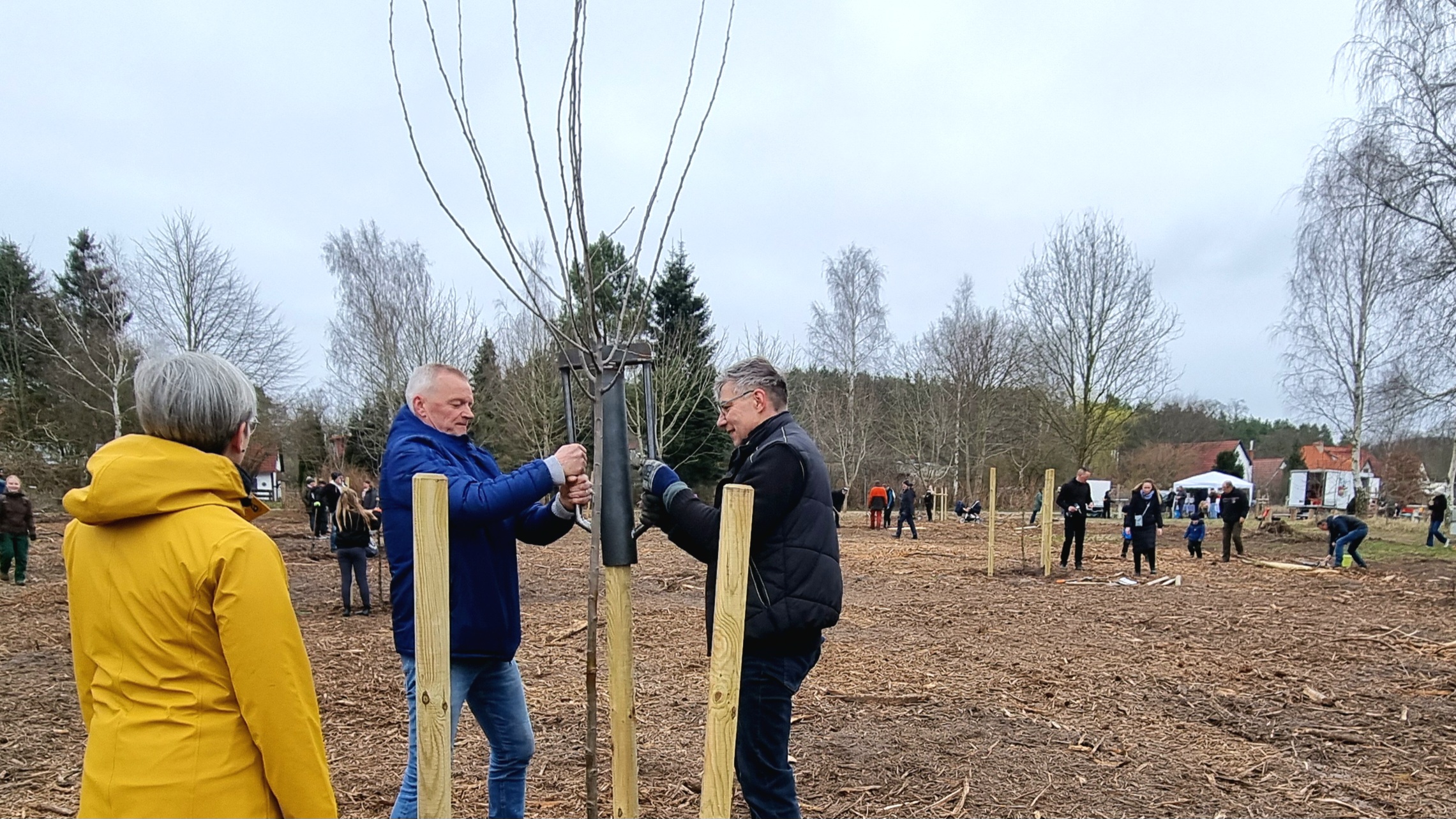 Zweite Baumpflanzaktion von ROSTOCK PORT Zweite Baumpflanzaktion von ROSTOCK PORT